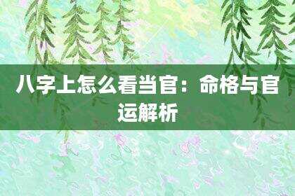 八字上怎么看当官：命格与官运解析